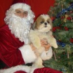 Danny and Santa Paws