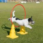 Agility Demo
