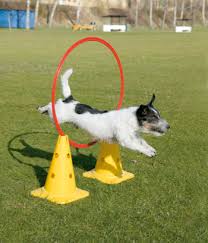 Agility Demo