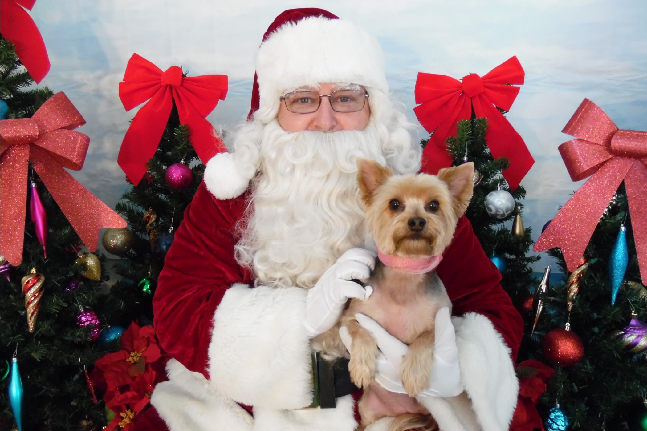 Santa Picture