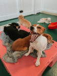 Yawning is Contagious
