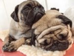 Nap Time