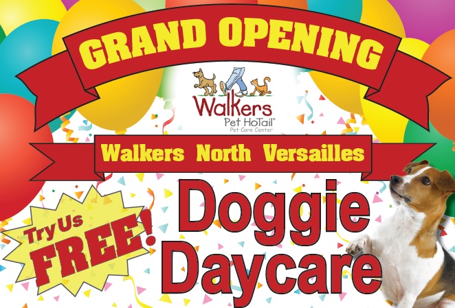 Grand Opening